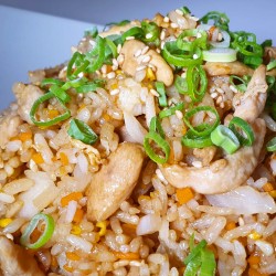 Kaisen yakimeshi (Pollo)